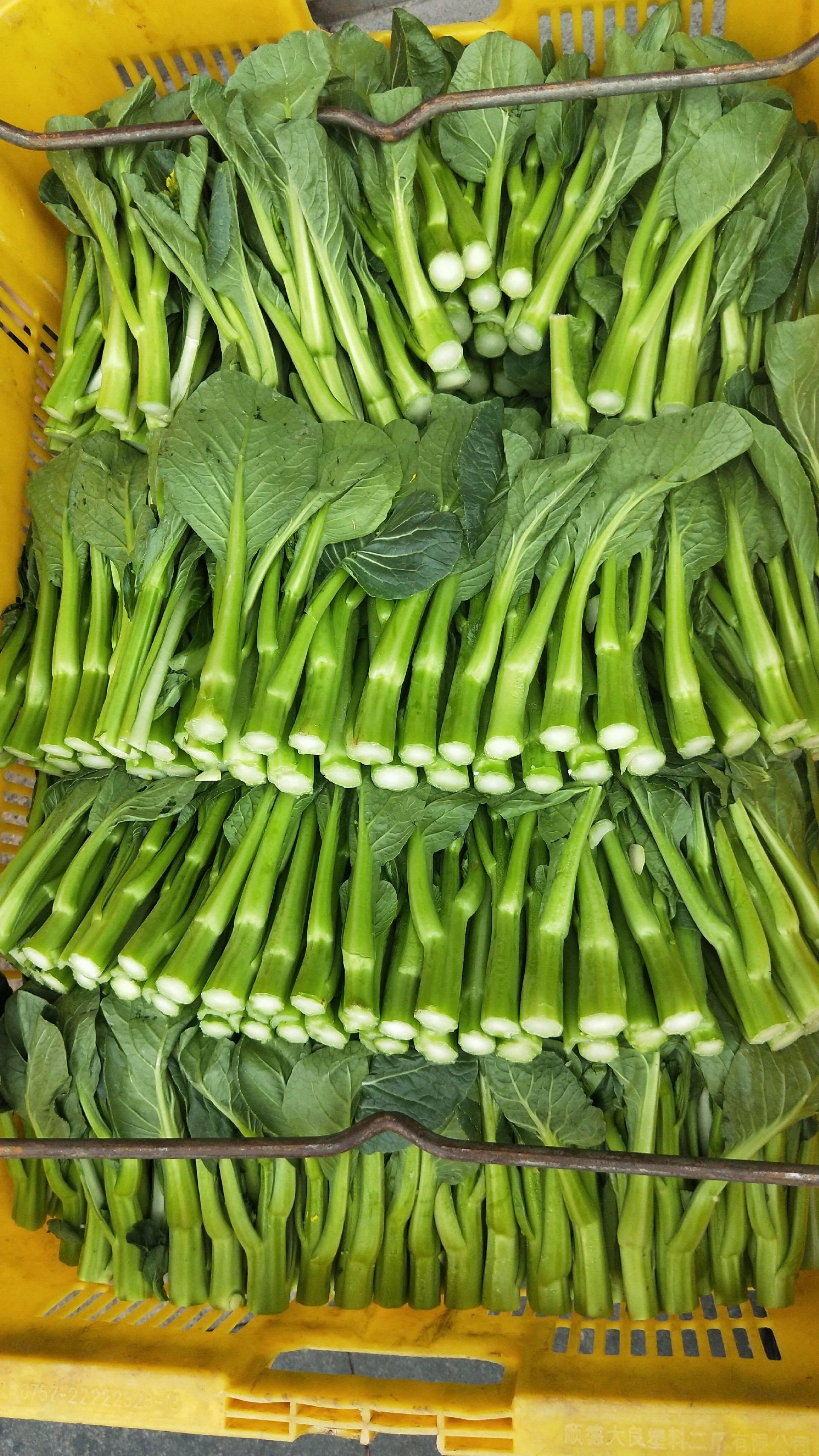 1595215861212076.jpg 微信圖片_20191227110754.jpg