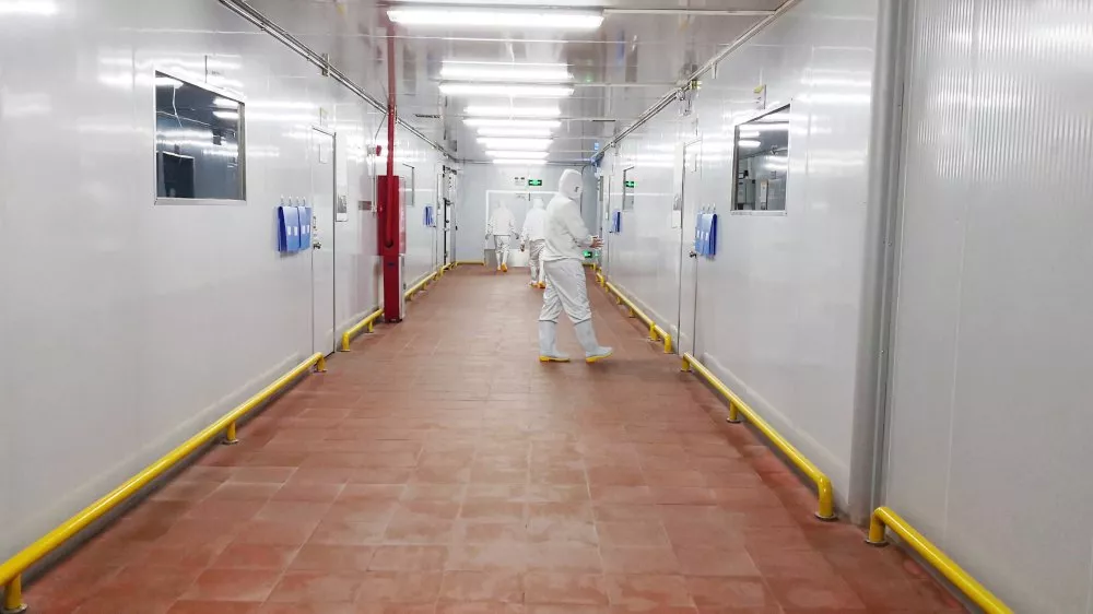 1611219090192095.jpg 21.jpg