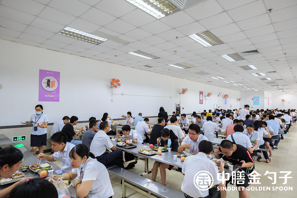 1627436394240154.png P1003242.png